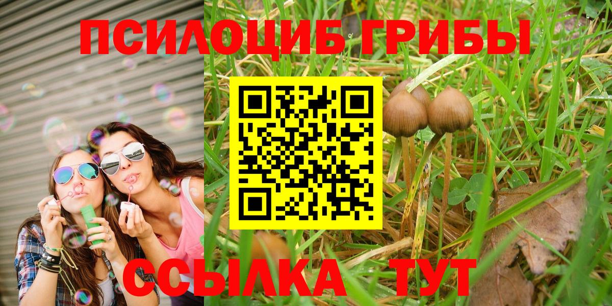 Сегежа  Псилоцибиновые грибы MAGIC MUSHROOMS  Вход с VPN  Галлюциногенные грибы MAGIC MUSHROOMS 